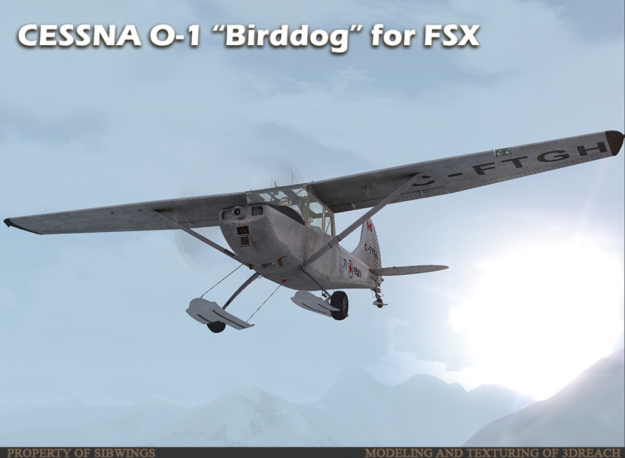 BirdDog-ext-002