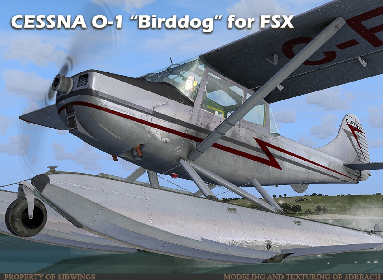 BirdDog-ext-003