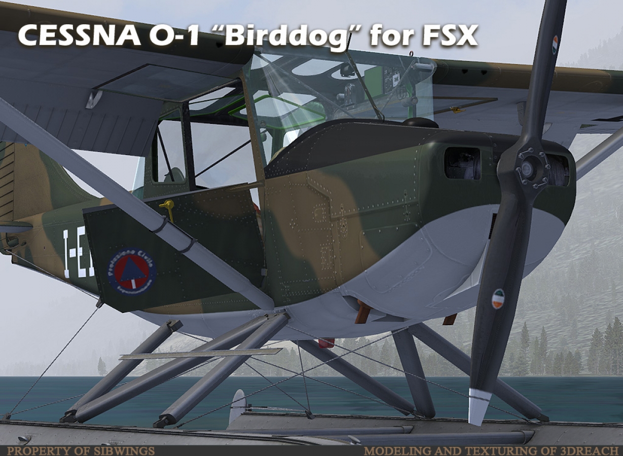 BirdDog-ext-004