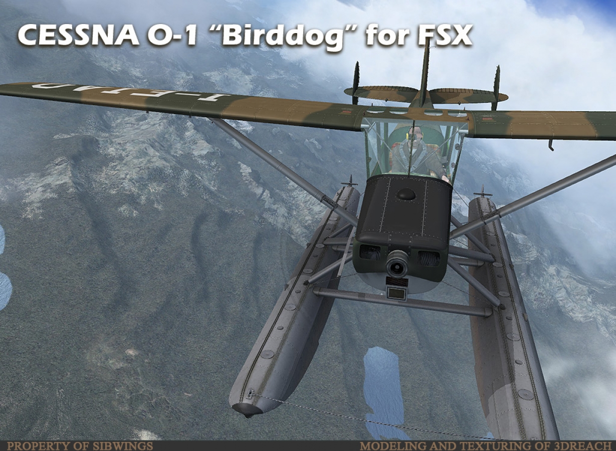 BirdDog-ext-008